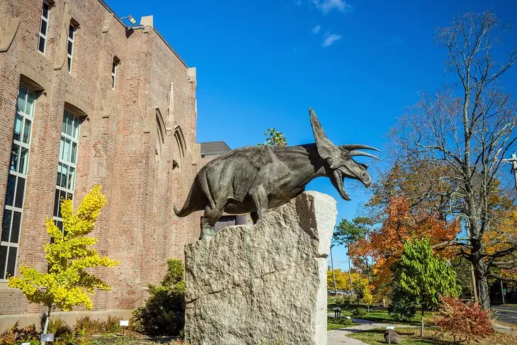 Explora New Haven: Guía Completa de Turismo - Qué es New Haven new haven turismo - Qué es New Haven