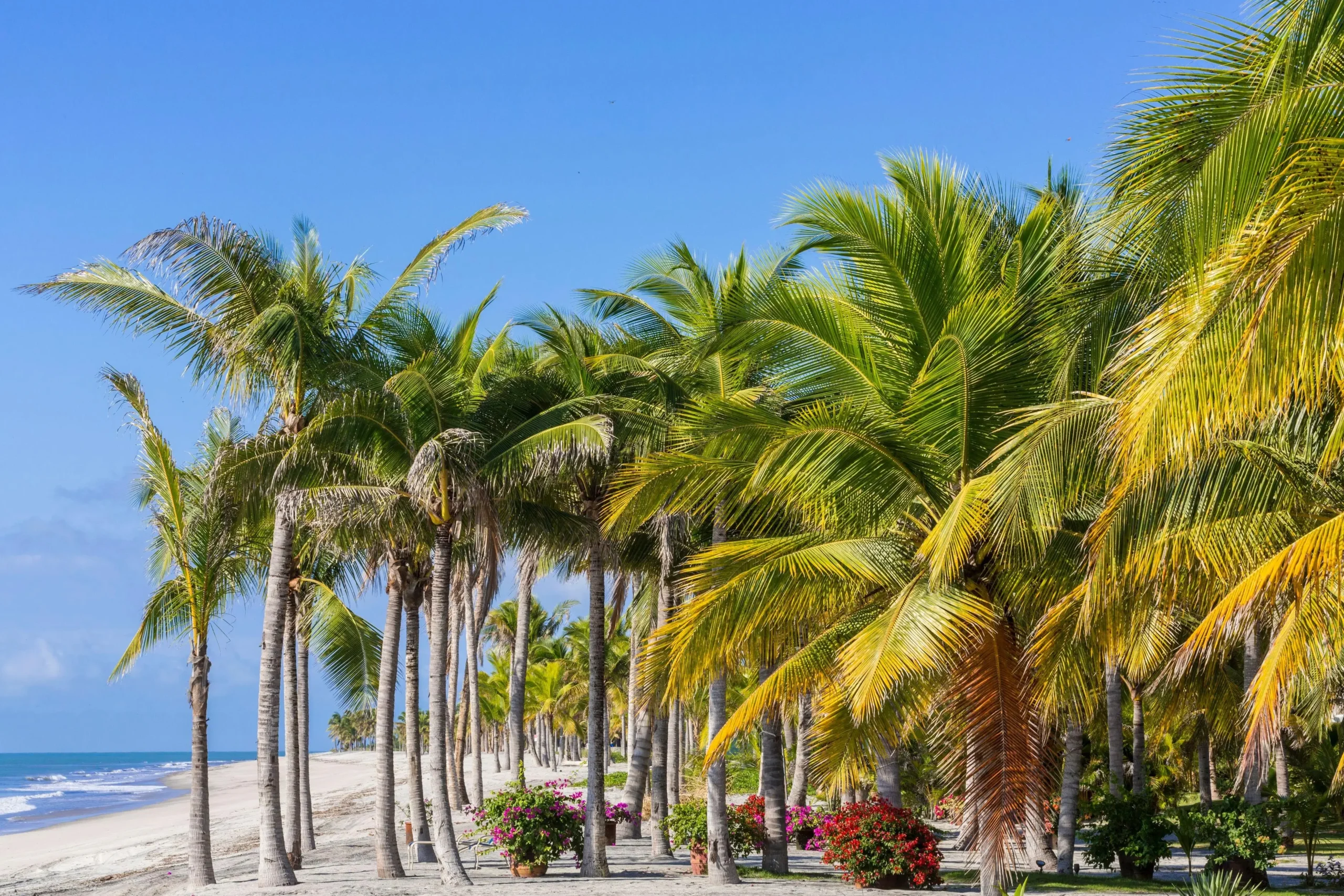 Turismo en Río Hato, Panamá: Guía completa para tu viaje - Qué es Río Hato turismo en rio hato panama - Qué es Río Hato