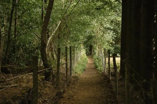 Tipos de Turismo en el Bosque Protector Palo Seco - Qué es un bosque protector tipos de turismo protegida bosque protector palo seco - Qué es un bosque protector