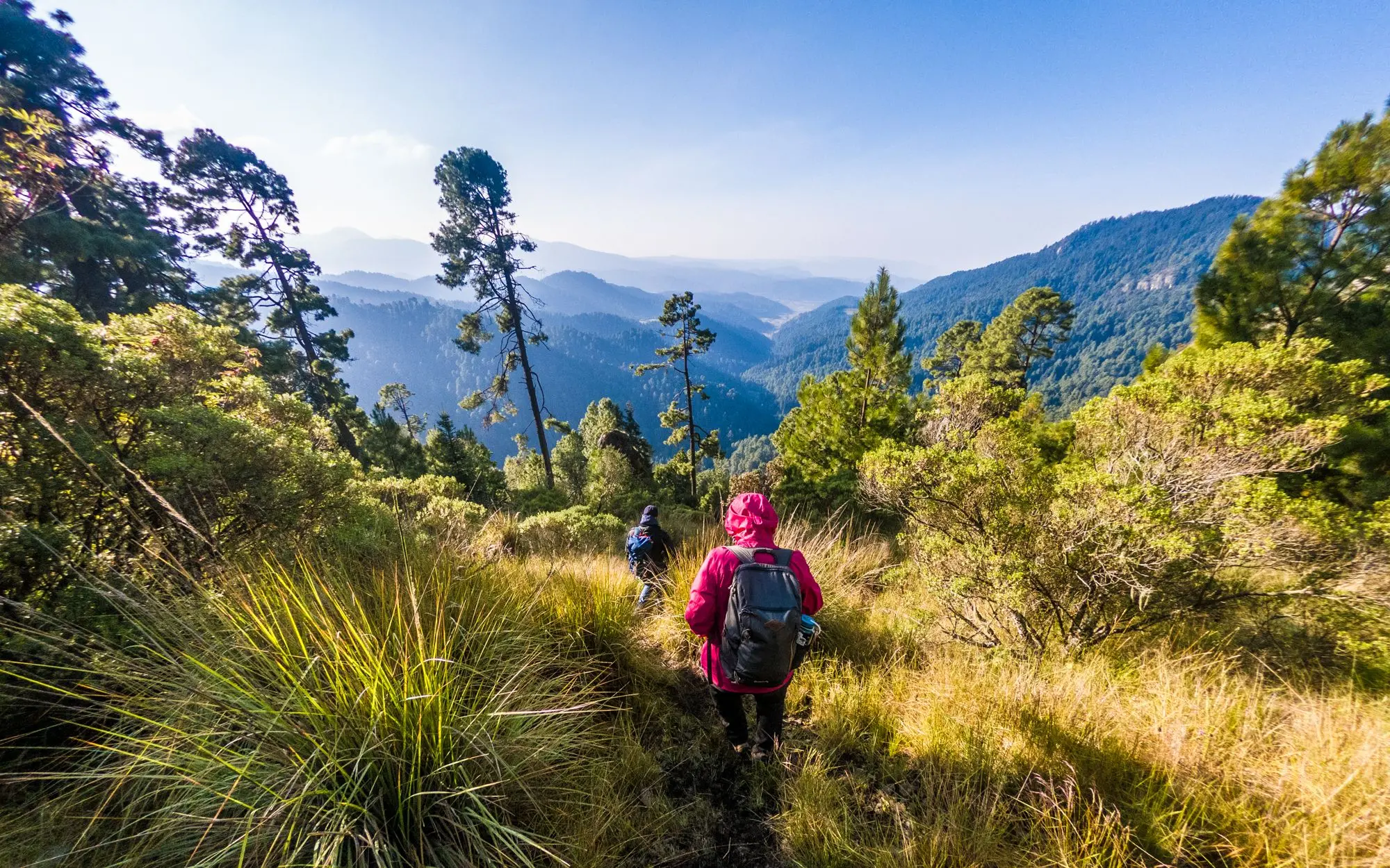 desarrollo sustentabilidad y turismo una visión multidisciplinaria - Qué es un proyecto turístico sustentable