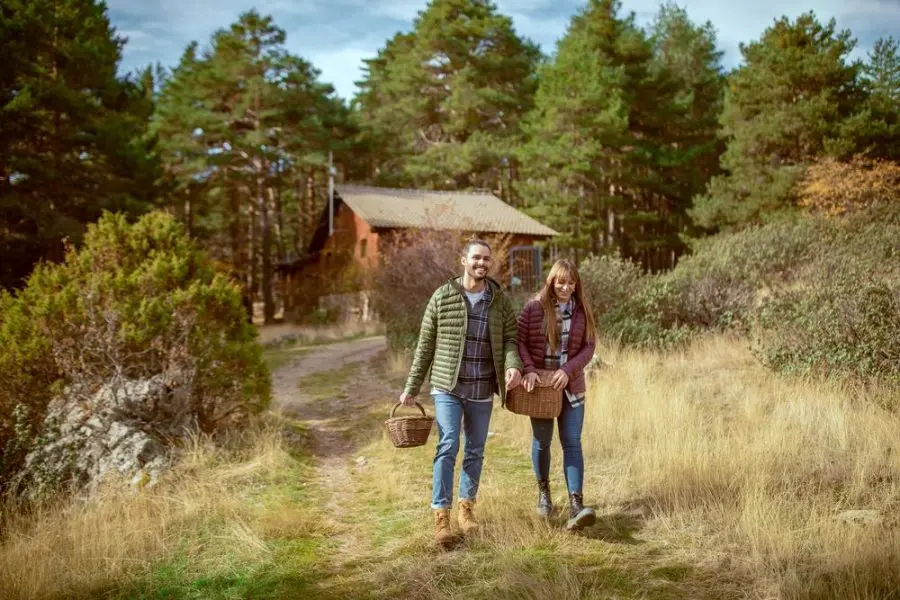 Turismo Micológico: Una Guía Completa para el Micoturismo - Qué es una jornada micológica turismo micologico - Qué es una jornada micológica