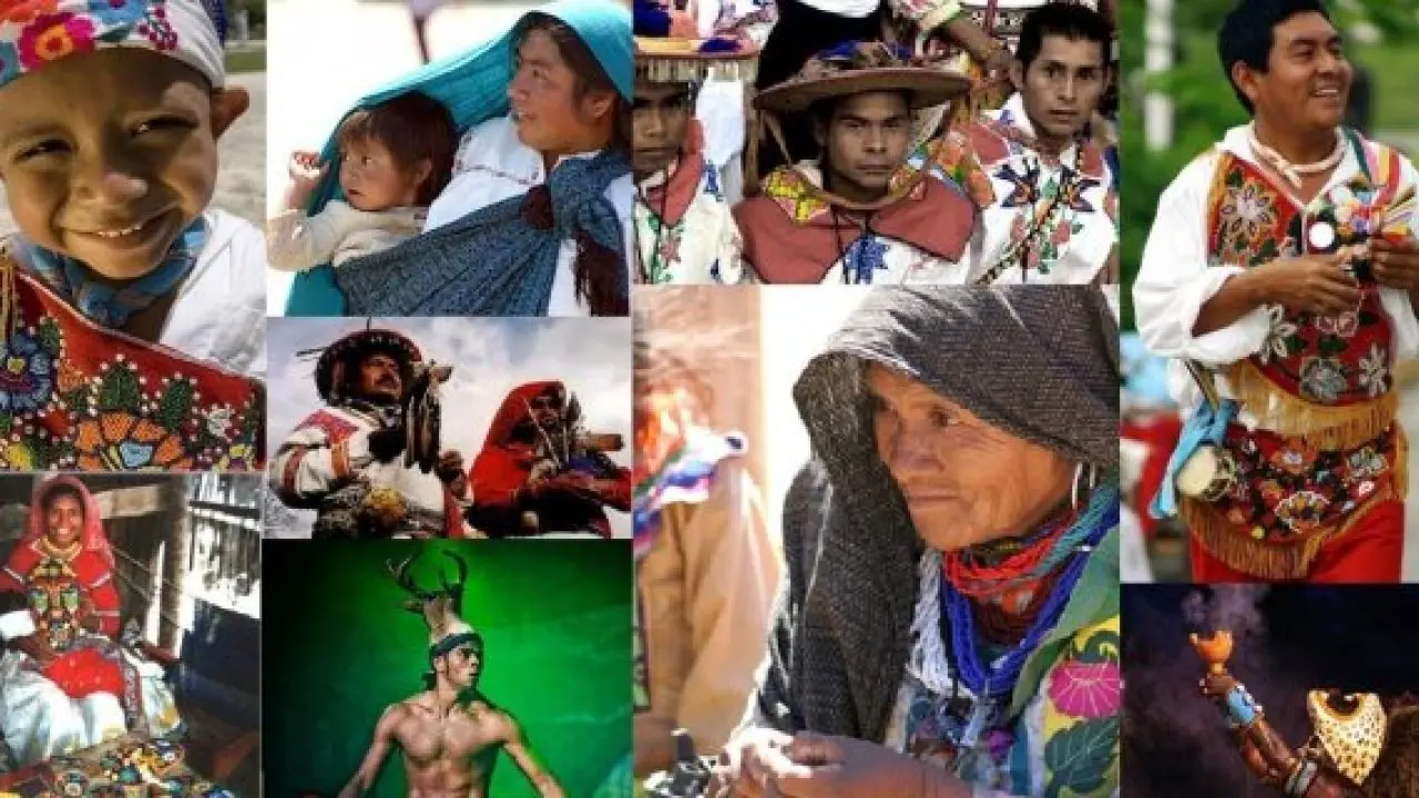 antropología turismo educación y cultura - Qué estudia la antropología de la cultura