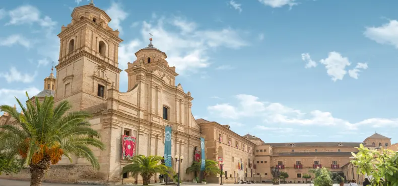 estudiar turismo en la ucam - Qué hace la UCAM
