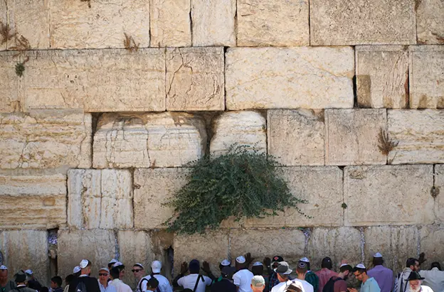 turismo muro de los lamentos - Qué hacen los judíos en el Muro de los Lamentos