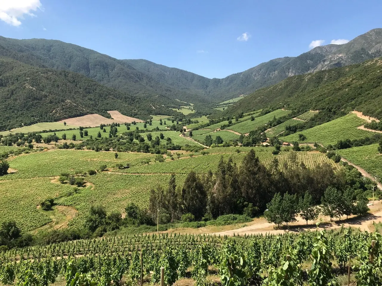 valle de colchagua turismo - Qué hacer alrededor de Santa Cruz