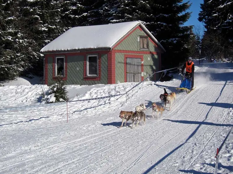 Andorra Turismo Invierno: La Guía Definitiva - Qué hacer en Andorra si no puedes esquiar andorra turismo invierno - Qué hacer en Andorra si no puedes esquiar