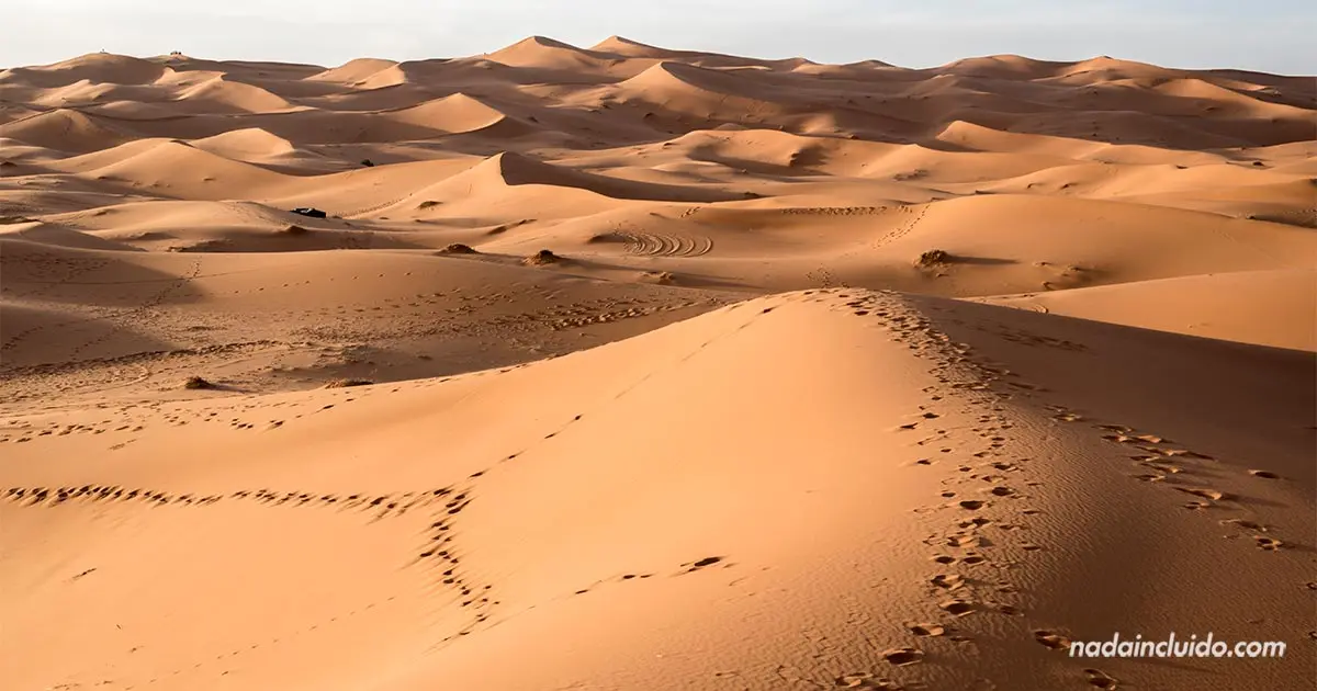 Conducción en el Desierto: Turismo y Supervivencia - Qué hacer en caso de perderse en el desierto conduccion en el desierto turismo - Qué hacer en caso de perderse en el desierto