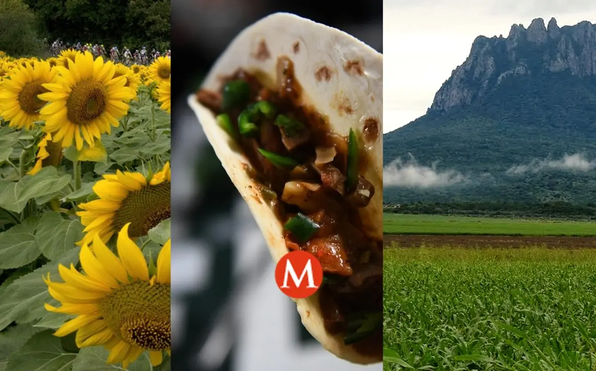 Turismo en González, Tamaulipas: Una Guía Completa - Qué hacer en González gonzalez tamaulipas turismo - Qué hacer en González