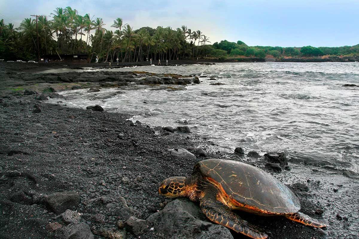 Actividades de Turismo en Hawái: Una Guía Completa - Qué hacer en Hawaii en 7 días actividades de turismo en hawaii - Qué hacer en Hawaii en 7 días