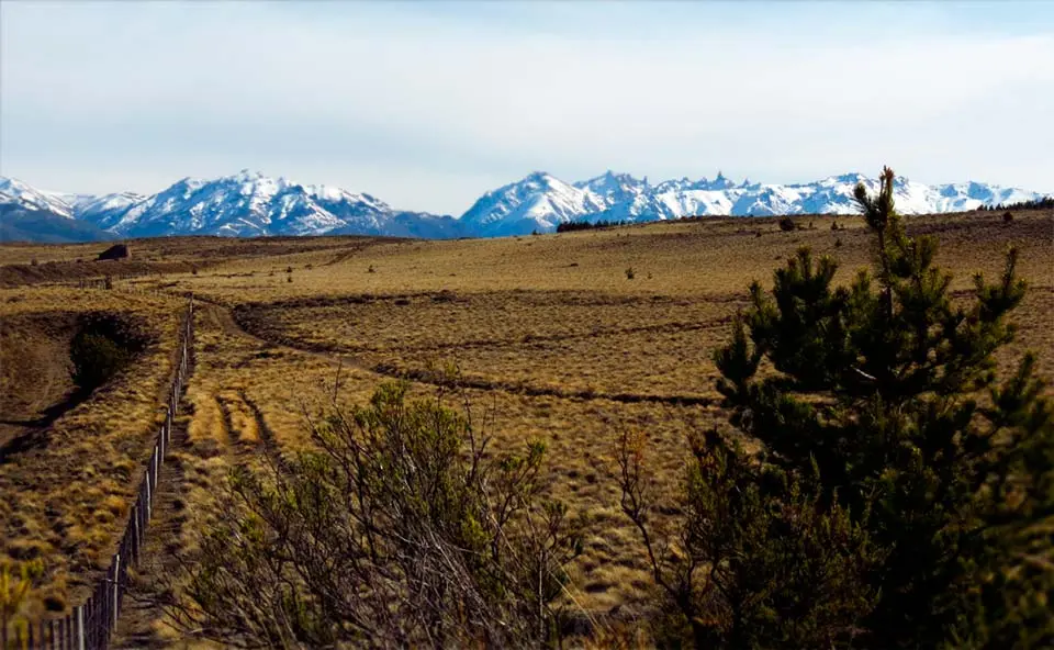 Estepa Patagónica: Turismo en la Inmensidad Austral - Qué hacer en la estepa patagónica estepa patagonica turismo - Qué hacer en la estepa patagónica