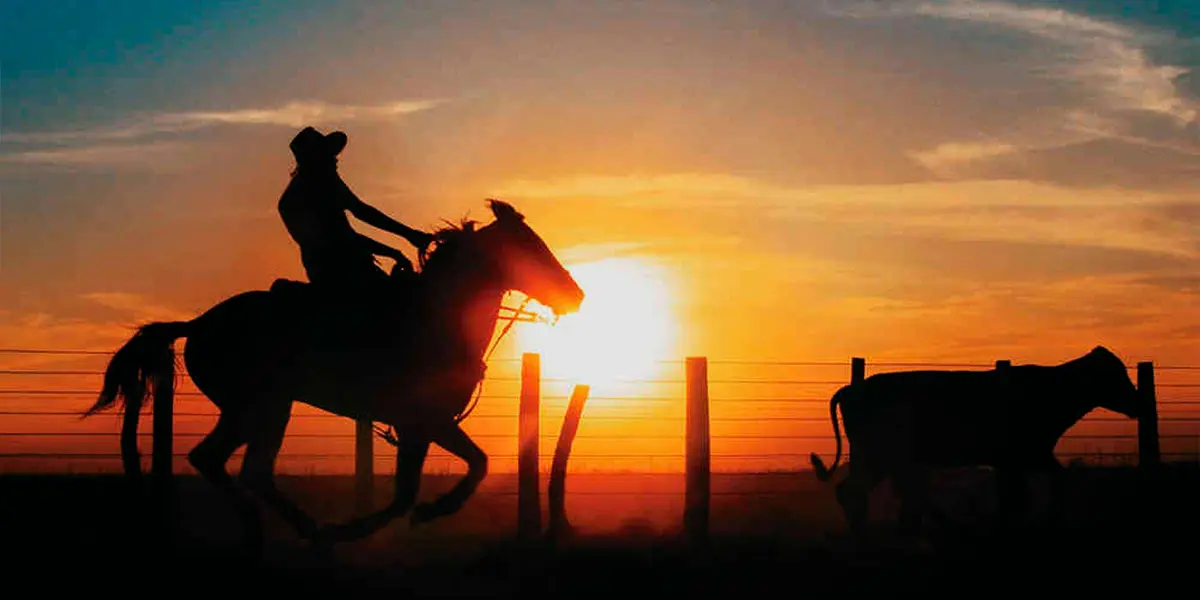 Turismo Llanero: Una Aventura en el Corazón de Colombia - Qué hacer en Llano turismo llanero - Qué hacer en Llano