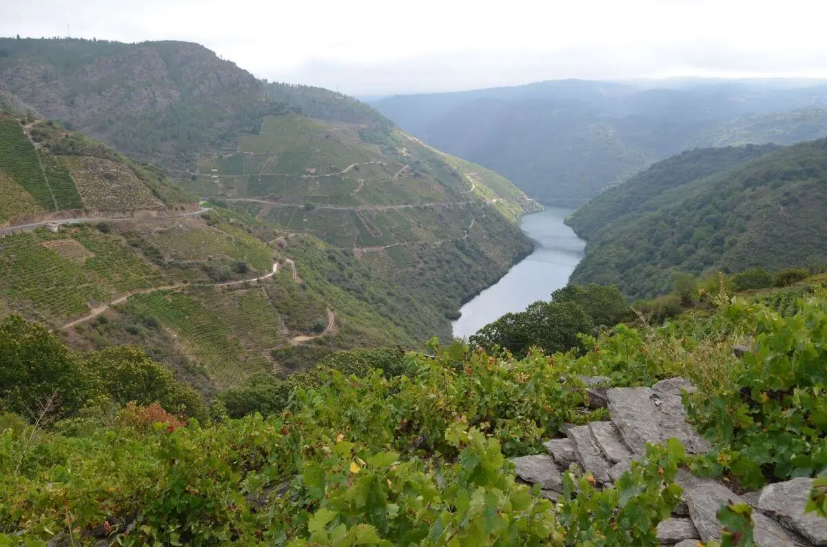 Turismo Ribeira Sacra: Una Guía Completa para tu Visita - Qué hacer en Ribeira si llueve turismo ribeira - Qué hacer en Ribeira si llueve