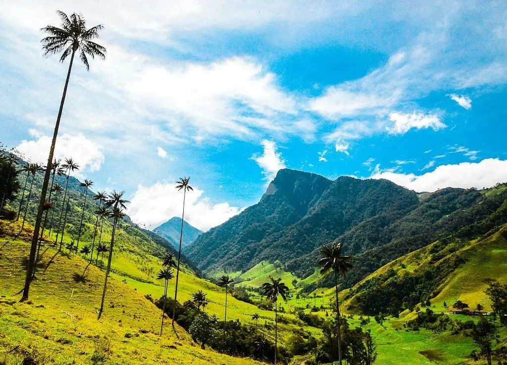 la tebaida turismo - Qué hay de bueno en La Tebaida