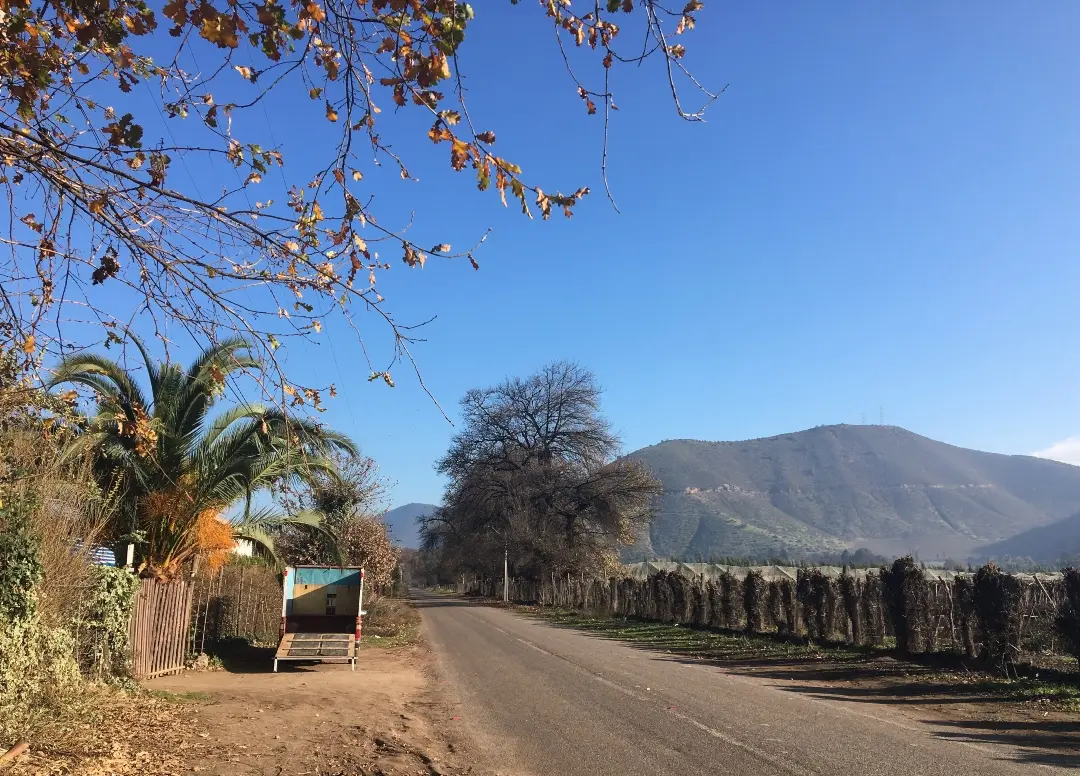 Turismo en Llay Llay: Un Viaje a Través de la Historia y la Naturaleza - Qué hay de bueno en Llay Llay llay llay turismo - Qué hay de bueno en Llay Llay