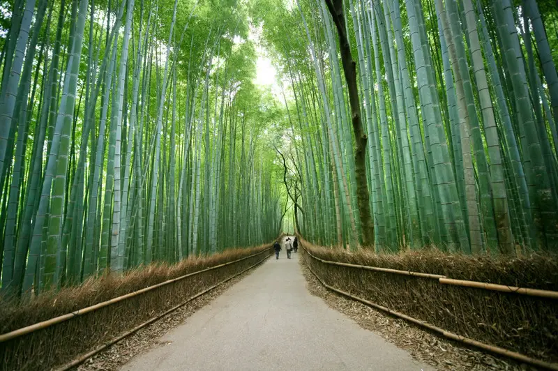 arashiyama turismo - Qué hay en Arashiyama