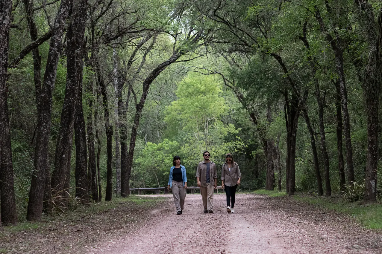 Turismo en el Bosque Chaqueño: Una Experiencia Inigualable - Qué hay en el bosque chaqueño bosque chaqueño turismo - Qué hay en el bosque chaqueño