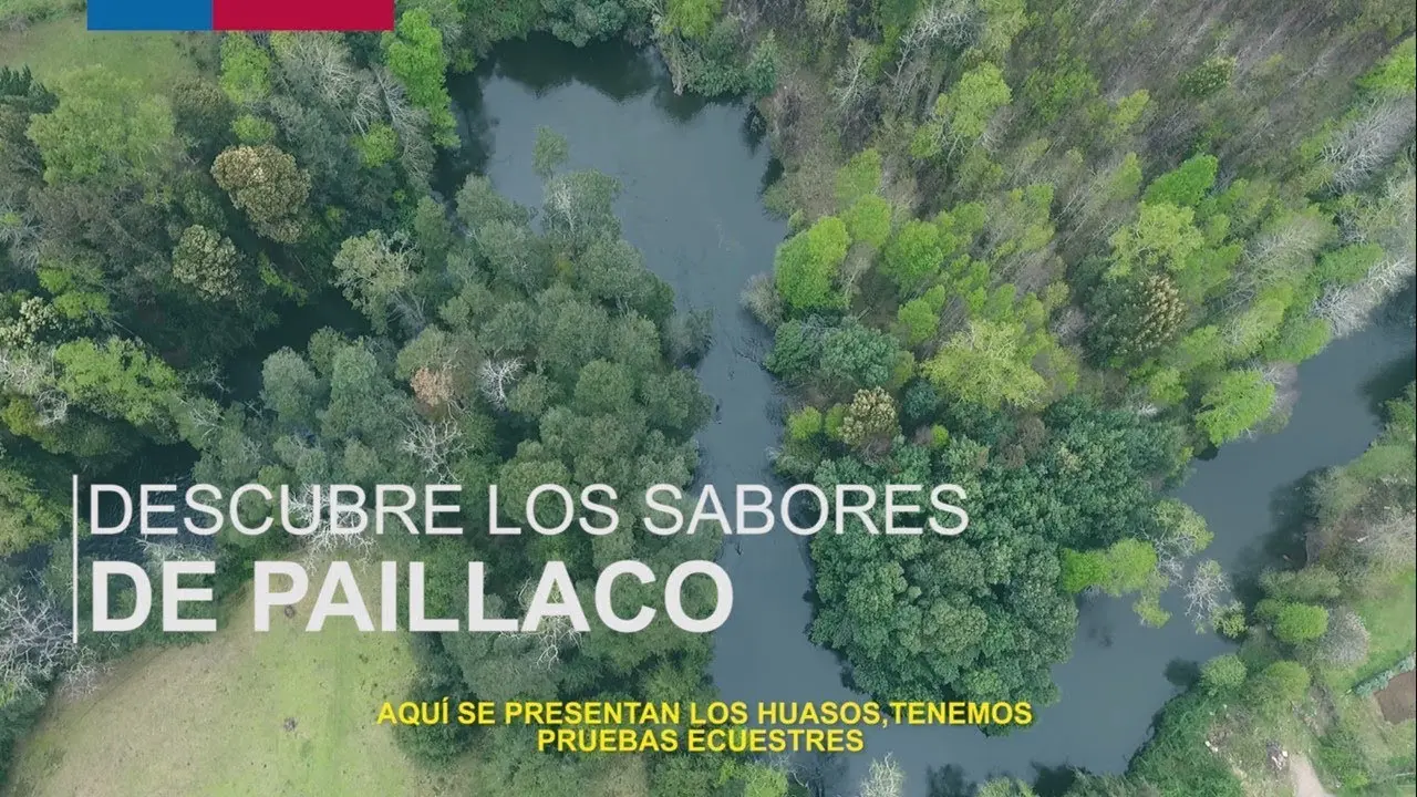 Paillaco Turismo: Descubre las Aguas Tranquilas de Los Ríos - Qué hay en Paillaco paillaco turismo - Qué hay en Paillaco