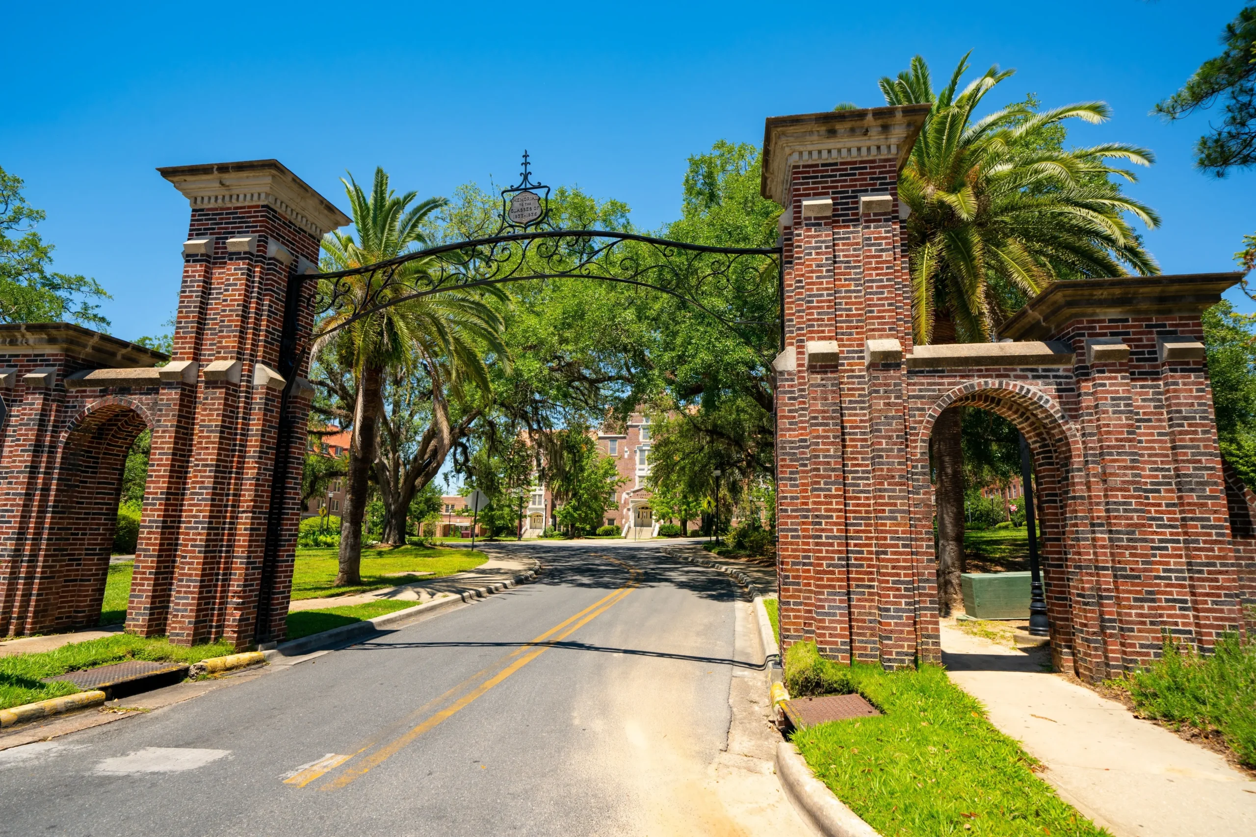 Tallahassee Turismo: Guía Completa para tu escapada a la Capital de Florida - Qué hay para hacer en Tallahassee tallahassee turismo - Qué hay para hacer en Tallahassee