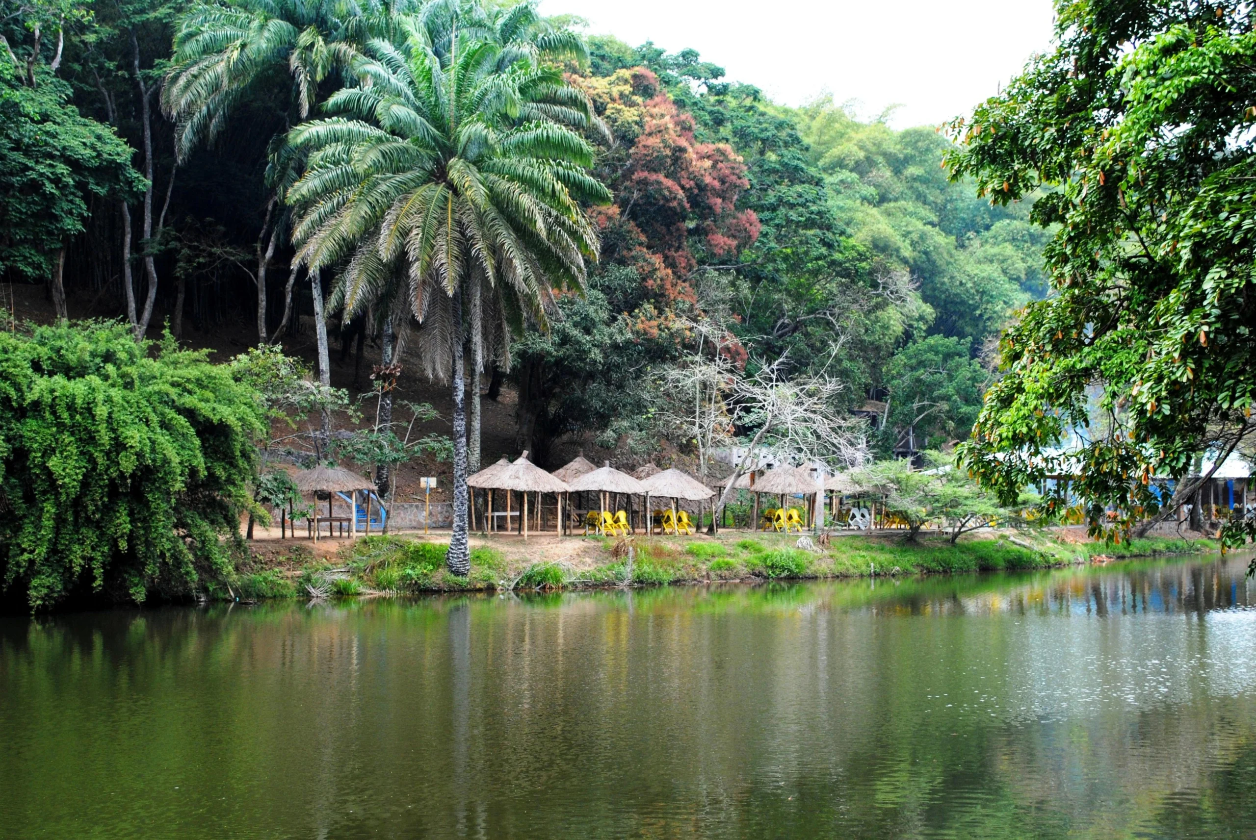 republica democratica del congo turismo - Qué idioma se habla en el Congo