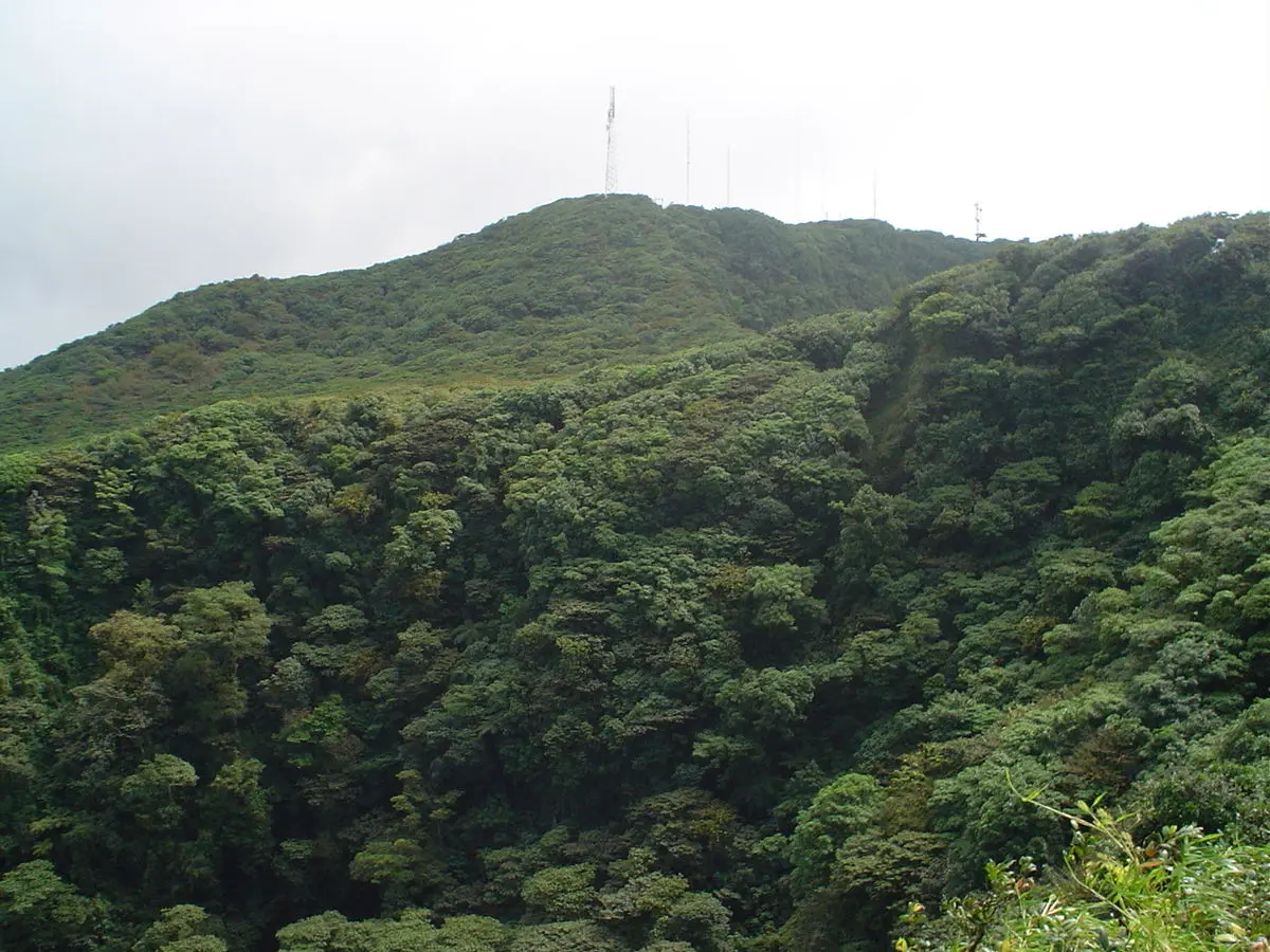 Recursos Naturales Aprovechados en el Turismo en Nicaragua: Importancia y Potencial - Qué importancia tiene conservar las reservas naturales en Nicaragua recursos naturales aprovechados en el turismo en nicaragua importancia - Qué importancia tiene conservar las reservas naturales en Nicaragua