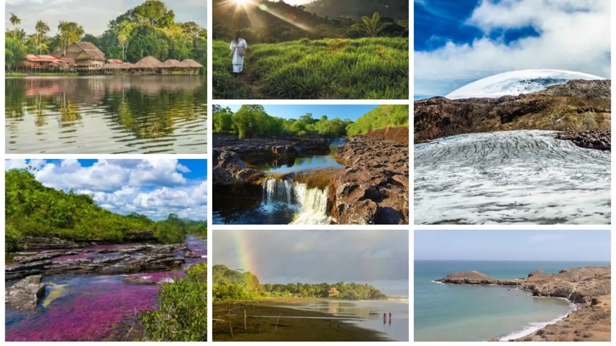 el turismo y el impacto en la comunidad colombiana - Qué importancia tiene el turismo para el desarrollo de Colombia