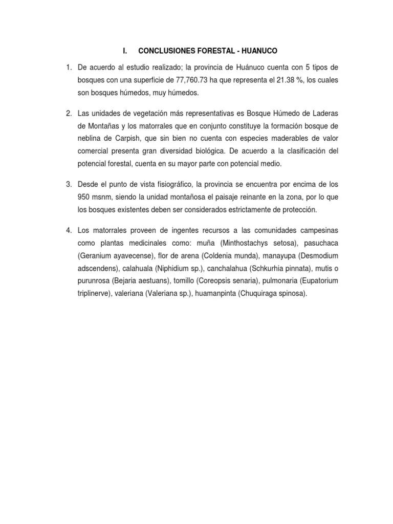 Conclusión sobre el Turismo y los Recursos Forestales: Un Análisis de la Interdependencia - Qué importancia tienen los recursos forestales conclusión sobre el turismo y los recursos forestales - Qué importancia tienen los recursos forestales