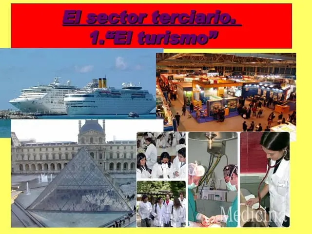 turismo sector terceiario en la economia - Qué incluye el sector terciario en la economía