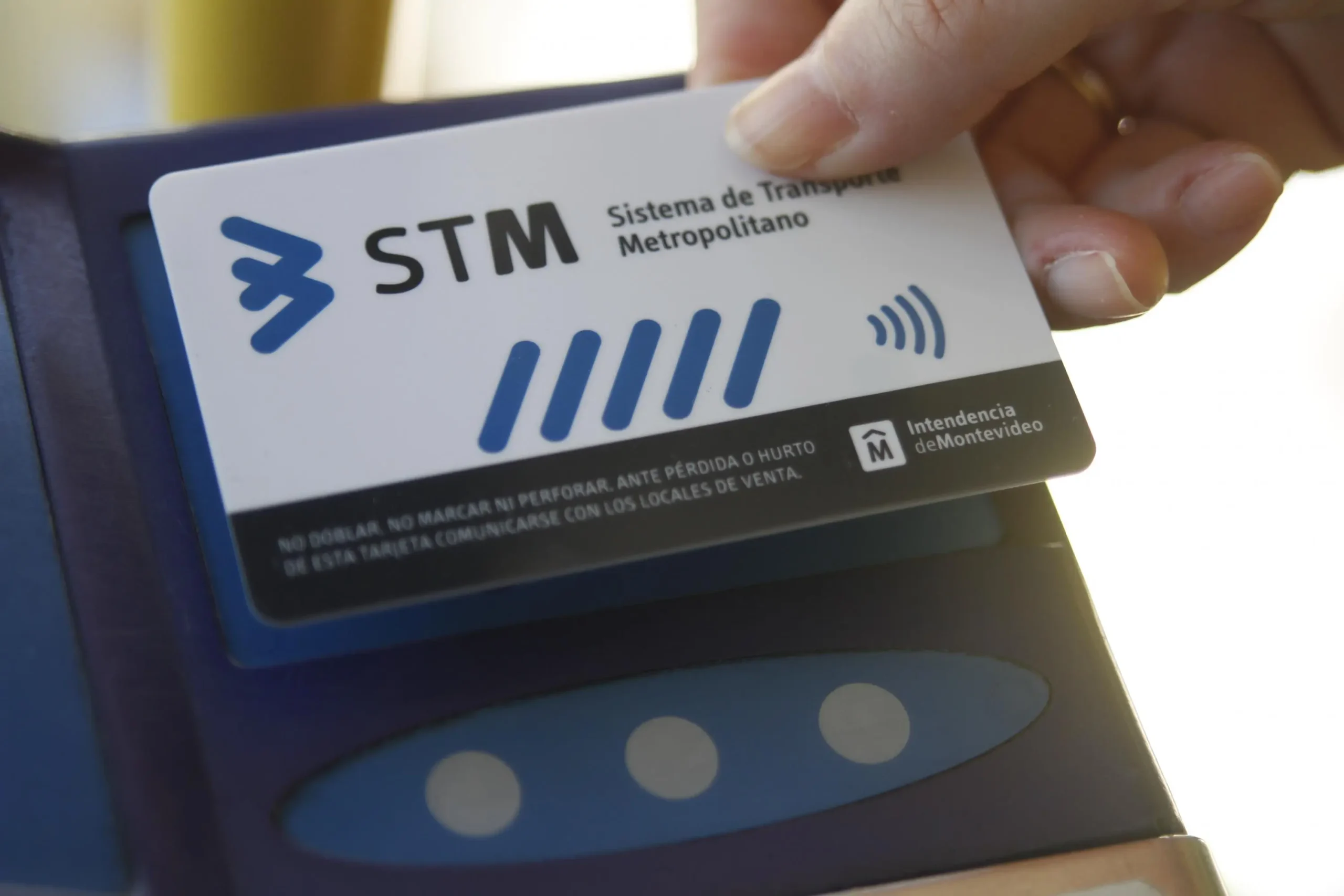 Locales STM: Guía completa para turistas y residentes - Qué líneas aceptan STM locales stm turismo - Qué líneas aceptan STM