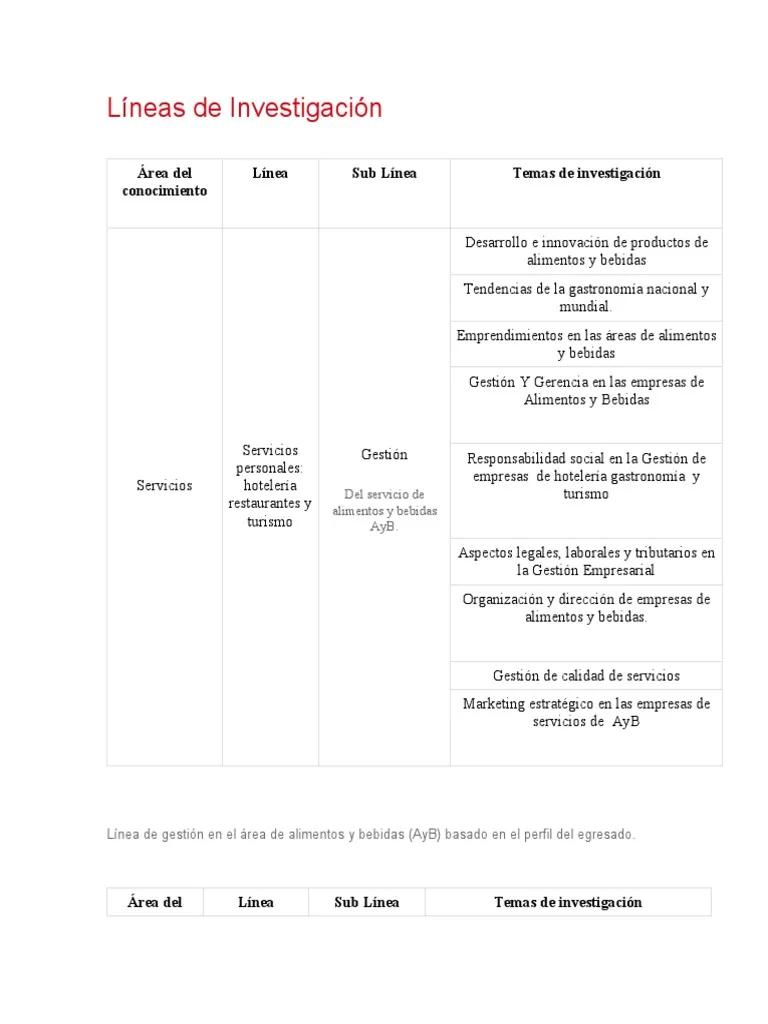 cuales son las lineas de investigacion en turismo - Qué líneas de investigación existen