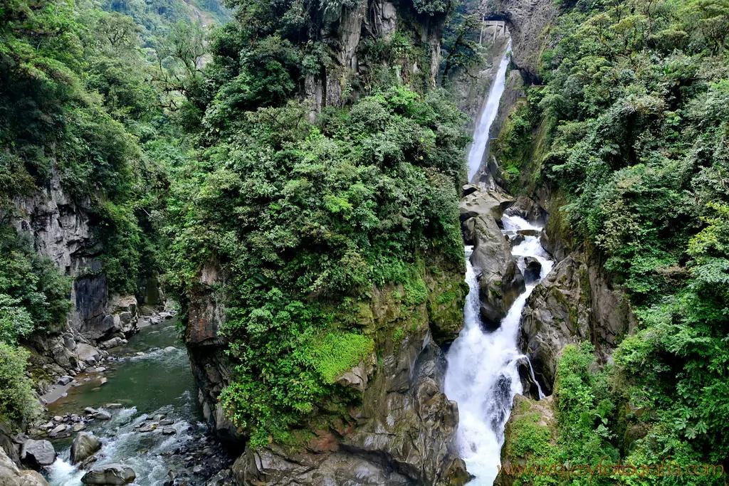 Turismo Natural del Ecuador: Una Guía Completa de sus Maravillas - Qué lugares son considerados patrimonio natural del Ecuador turismos natural del ecuador - Qué lugares son considerados patrimonio natural del Ecuador