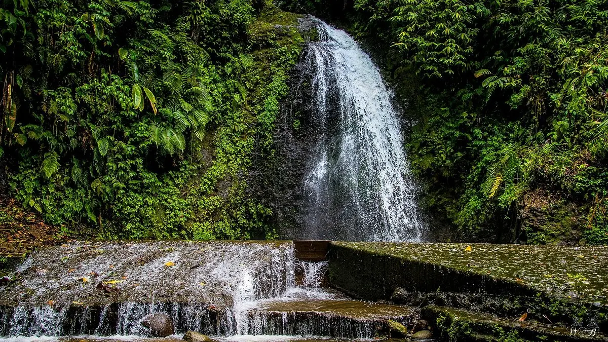 Descubriendo la Magia de Martinica: Una Guía Turística Completa - Qué nacionalidad tienen en Martinica martinique turismo - Qué nacionalidad tienen en Martinica