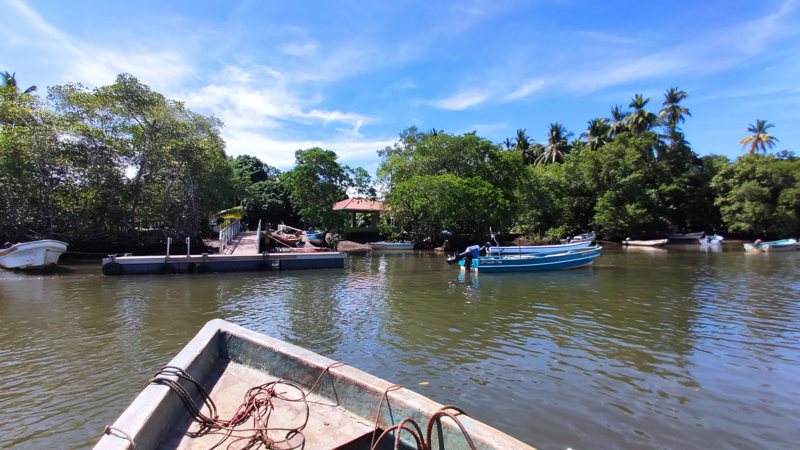 Isla Caña: Los Santos, Turismo y Conservación de Tortugas - Qué ocurre en la isla Caña con las tortugas isla caña los santos turismo - Qué ocurre en la isla Caña con las tortugas