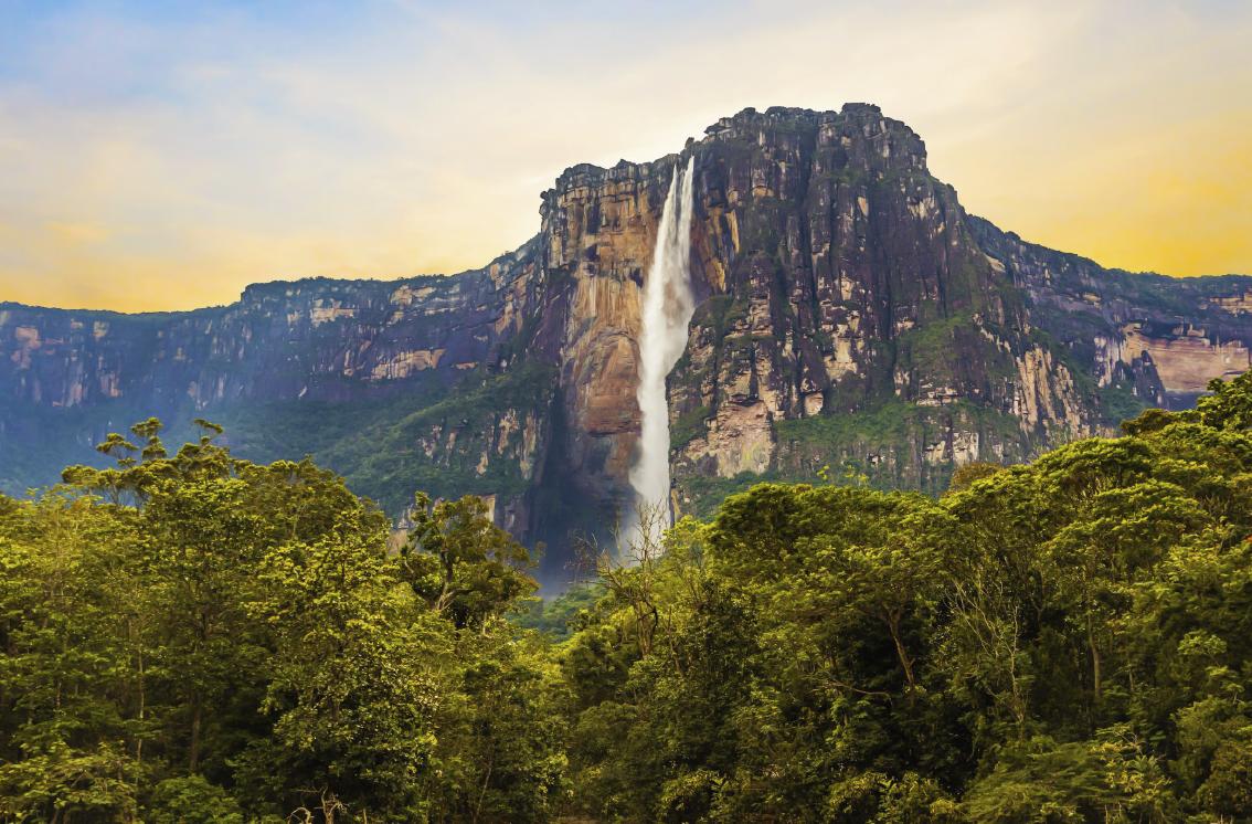 parque nacional de canaima problema con el turismo - Qué ocurrió en el año 1994 con el parque Canaima