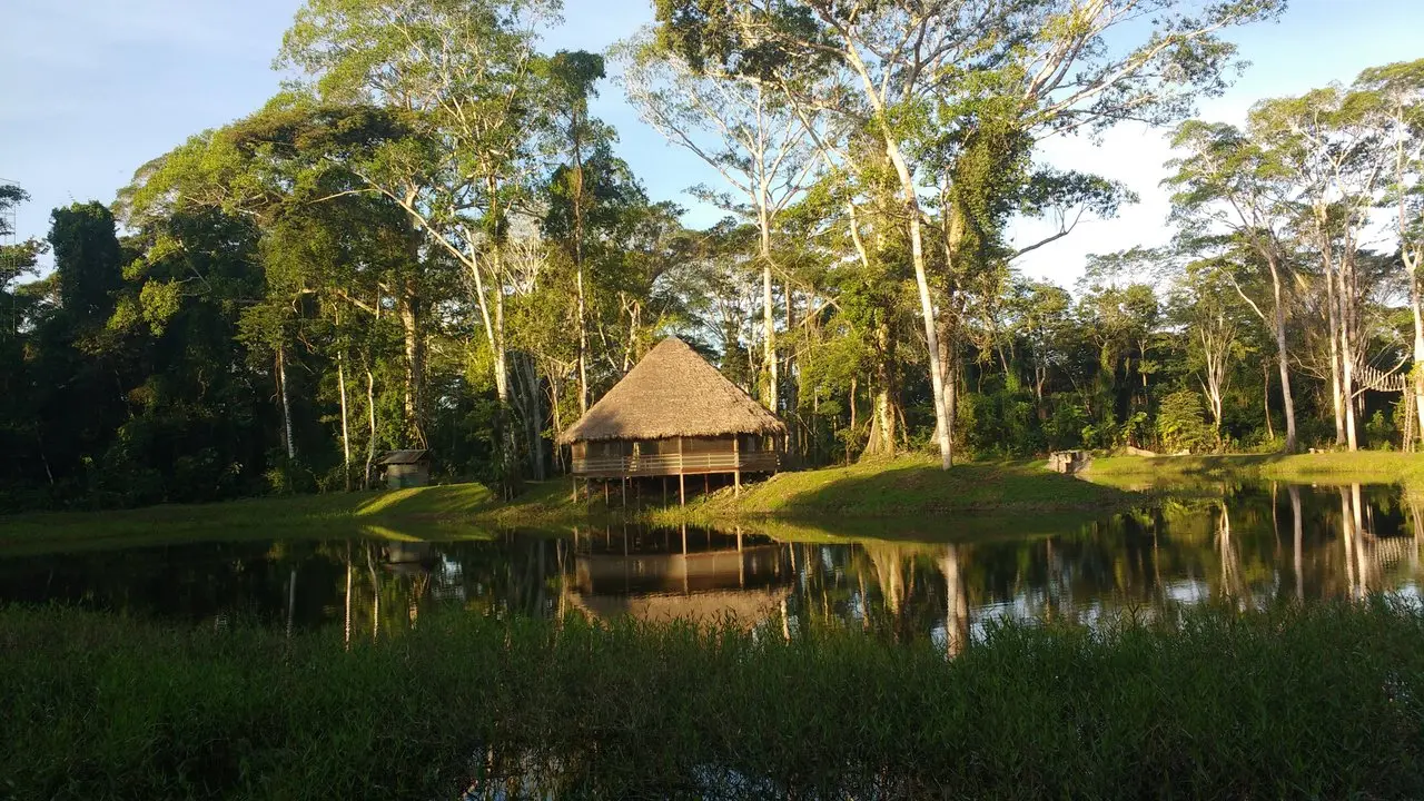 Turismo en Madre de Dios: Atractivos Turísticos y Guía Completa - Qué ofrece Madre de Dios turismo madre de dios atractivos turisticos - Qué ofrece Madre de Dios