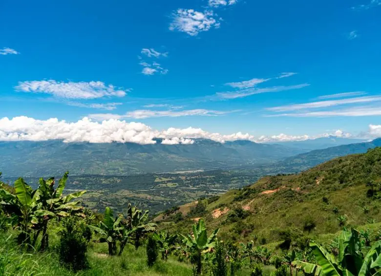 Antioquia: Turismo Natural - Una Guía Completa de sus Parques y Reservas - Qué parques naturales hay en Antioquia antioquia turismo natural - Qué parques naturales hay en Antioquia
