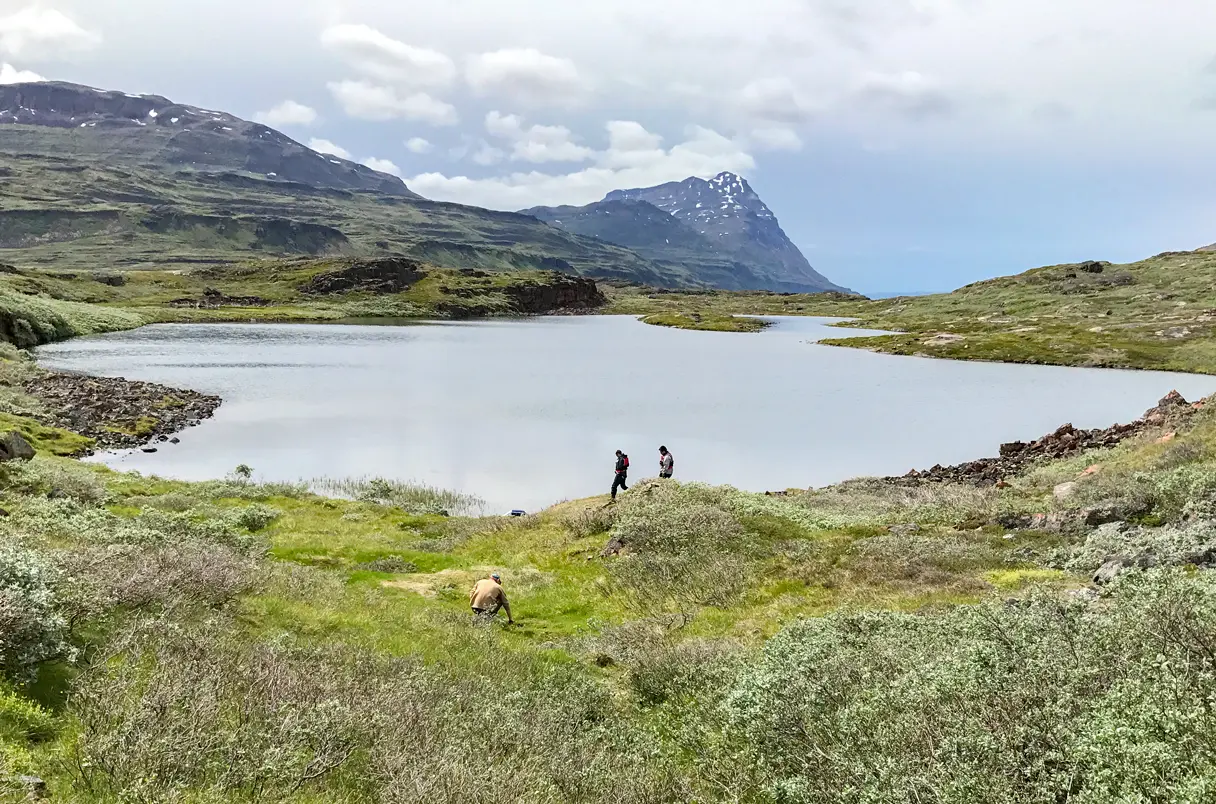 turismo rqueologico de groenlandia - Qué pasó con la Groenlandia nórdica