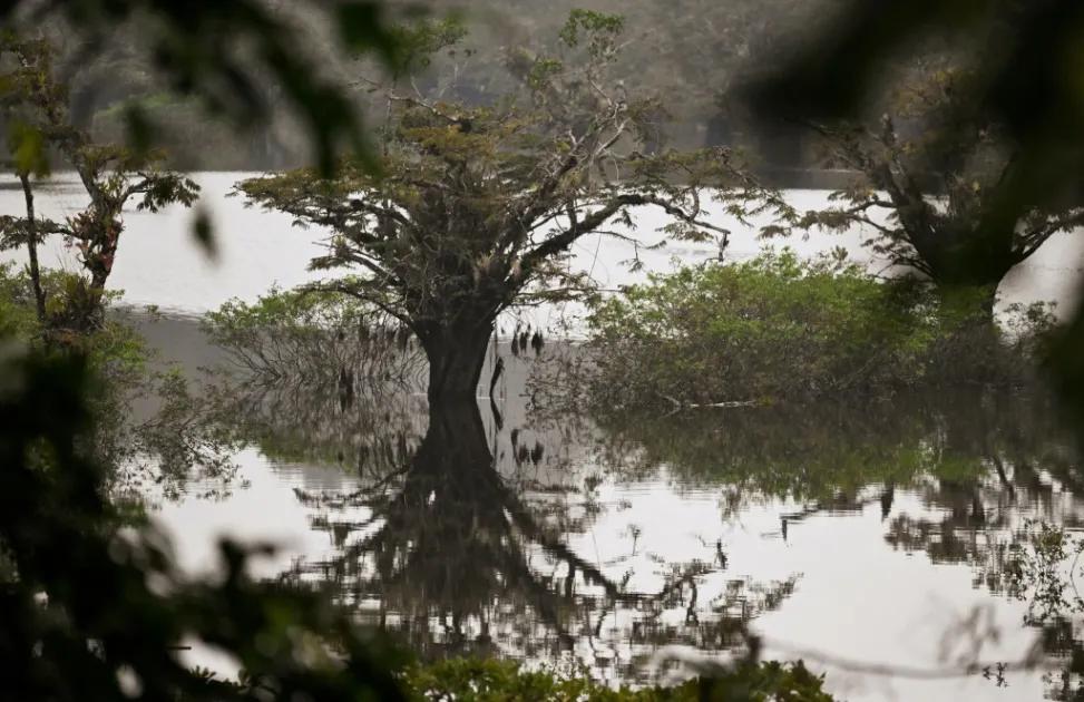 Reserva Cuyabeno: Turismo y Aventura en la Amazonía Ecuatoriana - Qué pasó en Cuyabeno reserva cuyabeno turismo - Qué pasó en Cuyabeno