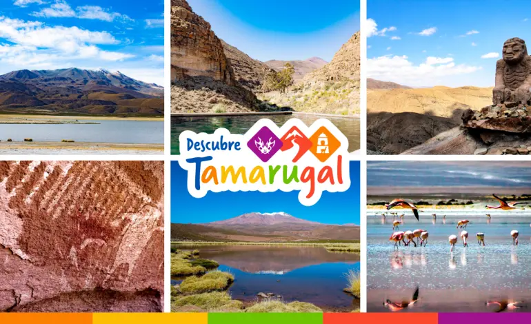 actividad economica de turismo en tarapaca - Qué produce Tarapacá