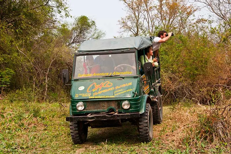Turismo en el Bosque Chaqueño: Una Experiencia Inigualable - Qué reservas naturales hay en Chaco bosque chaqueño turismo - Qué reservas naturales hay en Chaco