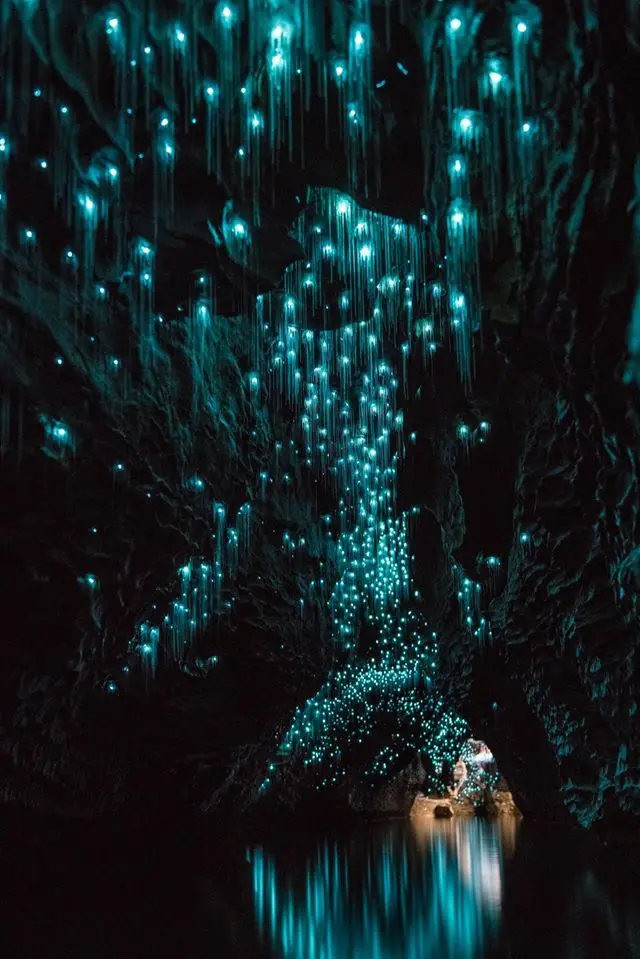 Cuevas de Waitomo: Turismo y Luciérnagas - Qué ropa llevar a las cuevas de Waitomo cuevas de waitomo turismo - Qué ropa llevar a las cuevas de Waitomo