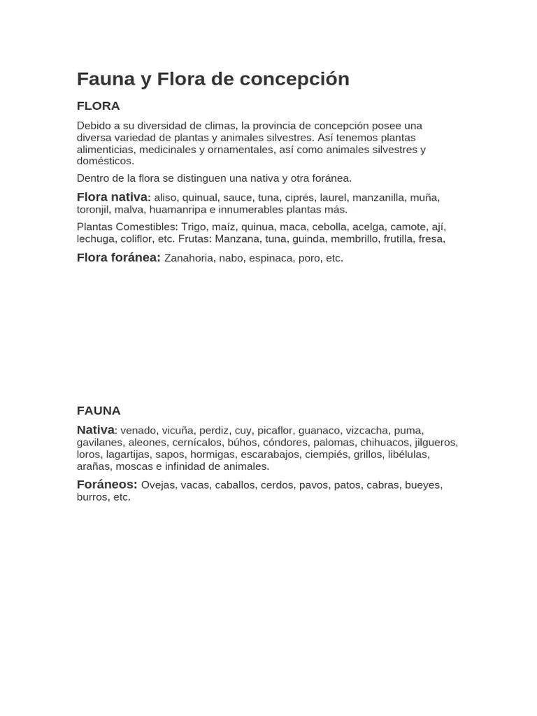 Concepción: Un Viaje a través de su Fauna, Flora, Cultura, Costumbres y Turismo - Qué sabemos del departamento de Concepción ver fauna flora cultura constumbre turismo division politica de concepcion - Qué sabemos del departamento de Concepción