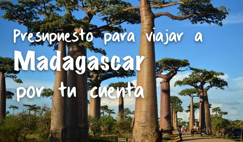 Agencias de Turismo en Madagascar: Tu Guía Completa - Qué se necesita para ir a Madagascar agencias de turismo en madaascar - Qué se necesita para ir a Madagascar