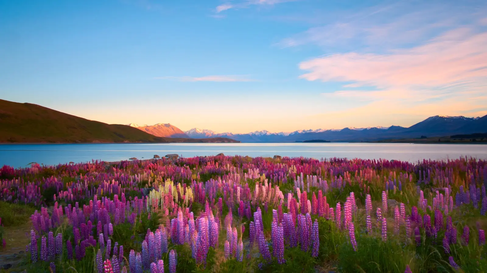 new zealand turismo - Qué se necesita para viajar a Nueva Zelanda como turista