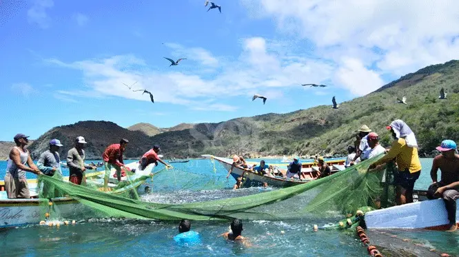 Producción y Turismo en la Isla de Margarita: Un Concepto en Crisis y Reinvención - Qué se produce en Margarita, Venezuela concepto produccion de la isla margarita pesca y turismo - Qué se produce en Margarita, Venezuela