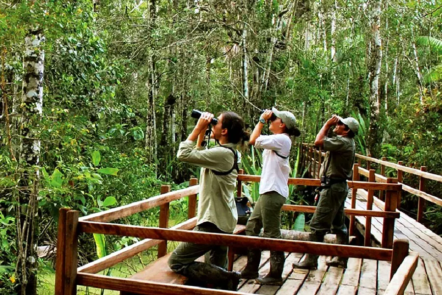 Turismo en Reservas Naturales: Una Experiencia Inolvidable - Qué se puede hacer en una reserva natural turismo en reservas naturales - Qué se puede hacer en una reserva natural
