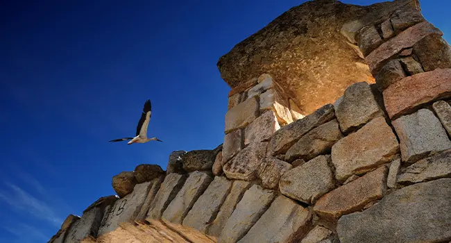 turismo soto - Qué se puede hacer en Villa de Soto
