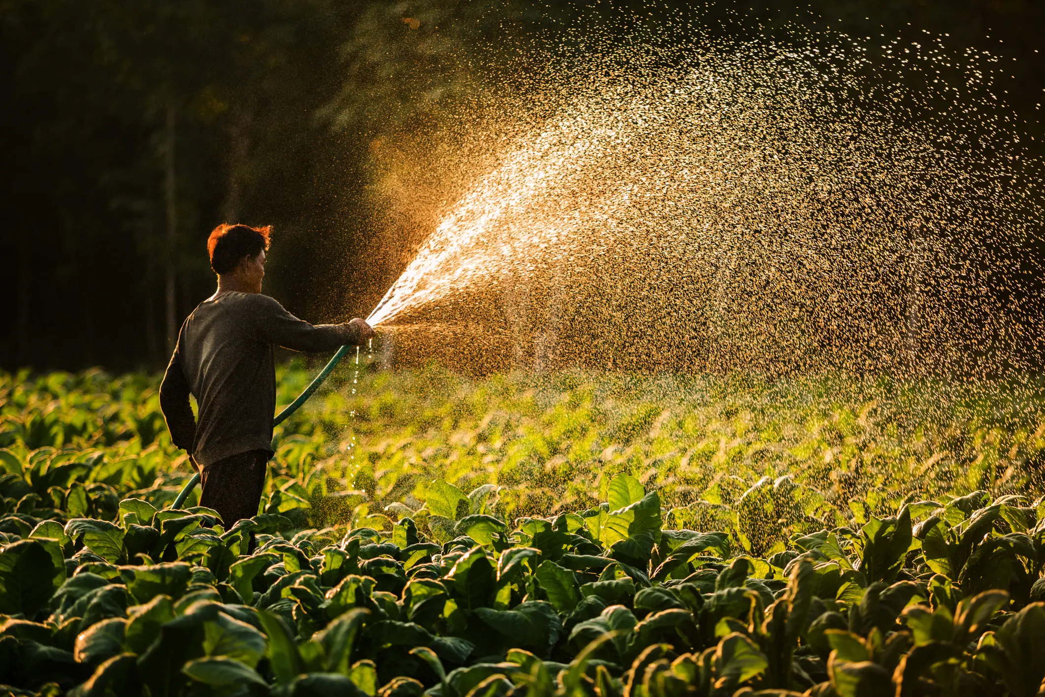Demanda de Agua: Sectores Industria, Agroindustria y Turismo - Qué sector es el mayor consumidor de agua demanda de agua para sectores industria agroindustria y turismo - Qué sector es el mayor consumidor de agua