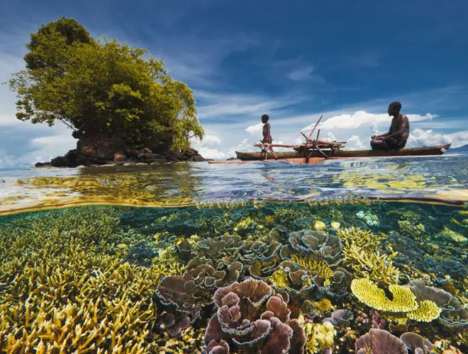 Servicios de Turismo en Papúa Nueva Guinea: Una Guía Completa - Qué sector predomina en Papua Nueva Guinea servicios papua nueva guinea turismo - Qué sector predomina en Papua Nueva Guinea