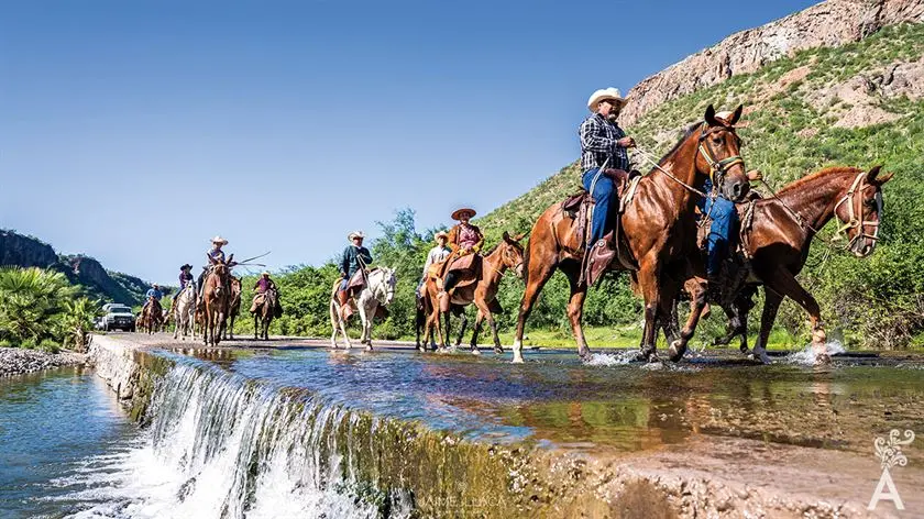 Comondú: Turismo en un Oasis del Desierto - Qué significa comondu comondu turismo - Qué significa comondu