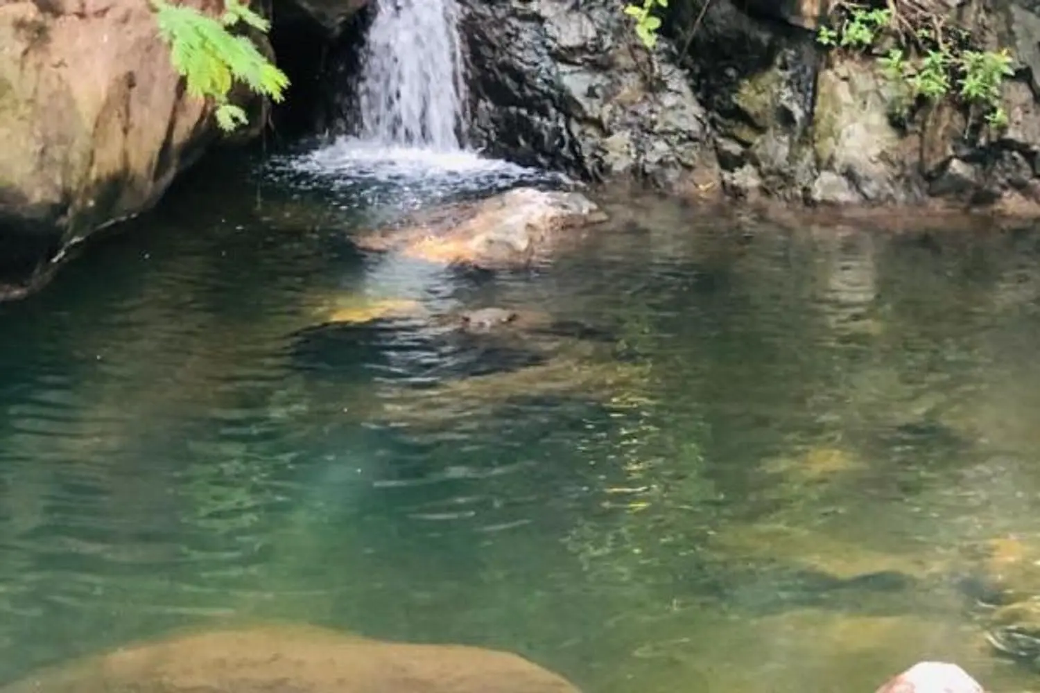 Ixtapan del Oro: Turismo, Naturaleza y Aventura en el Estado de México - Qué significa ixtapan del oro ixtapan del oro turismo - Qué significa ixtapan del oro
